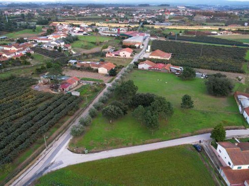 Helårsgrund i Anadia, Aveiro - foto 3