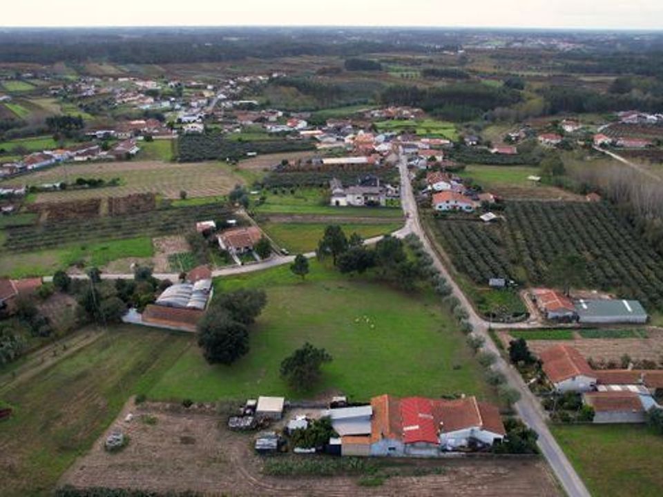 Helårsgrund i Anadia, Aveiro - foto 4