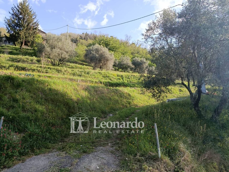 Villa i Barga, Lucca - foto 4