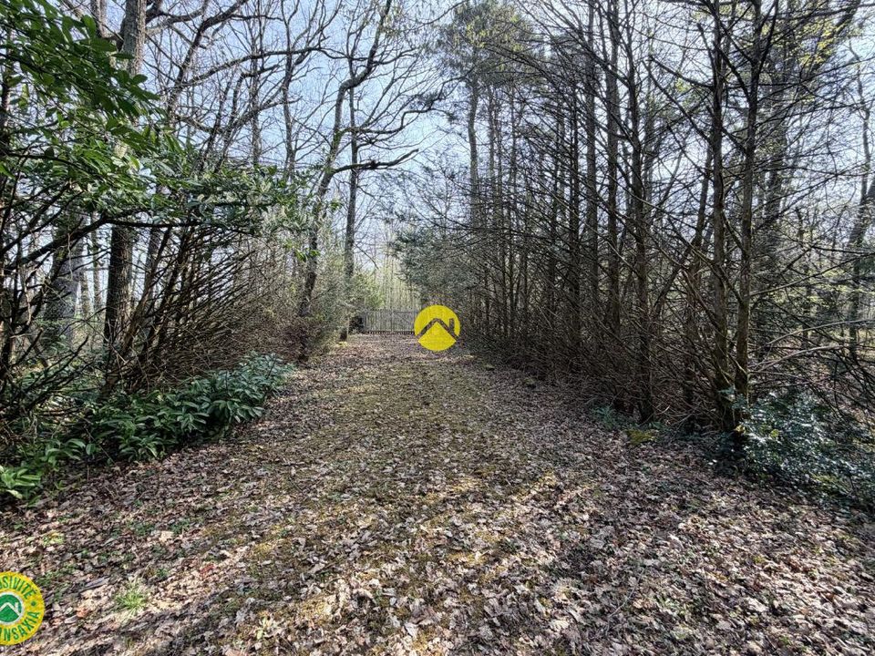 Helårsgrund i Mareuil-sur-Arnon, Cher - foto 3