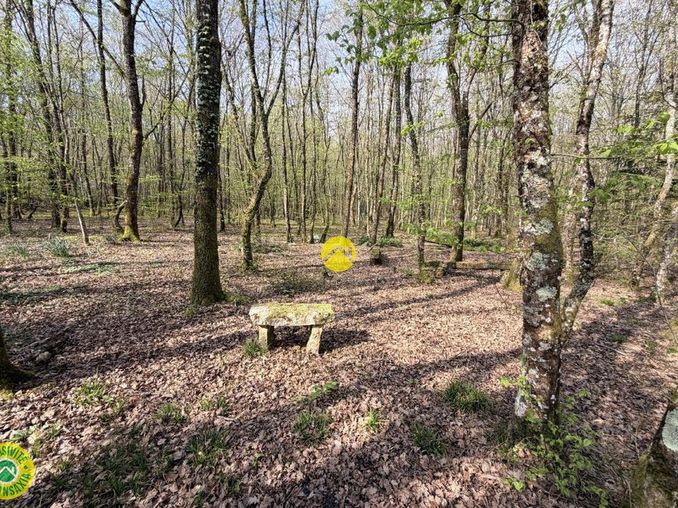 Helårsgrund i Mareuil-sur-Arnon, Cher - foto 4