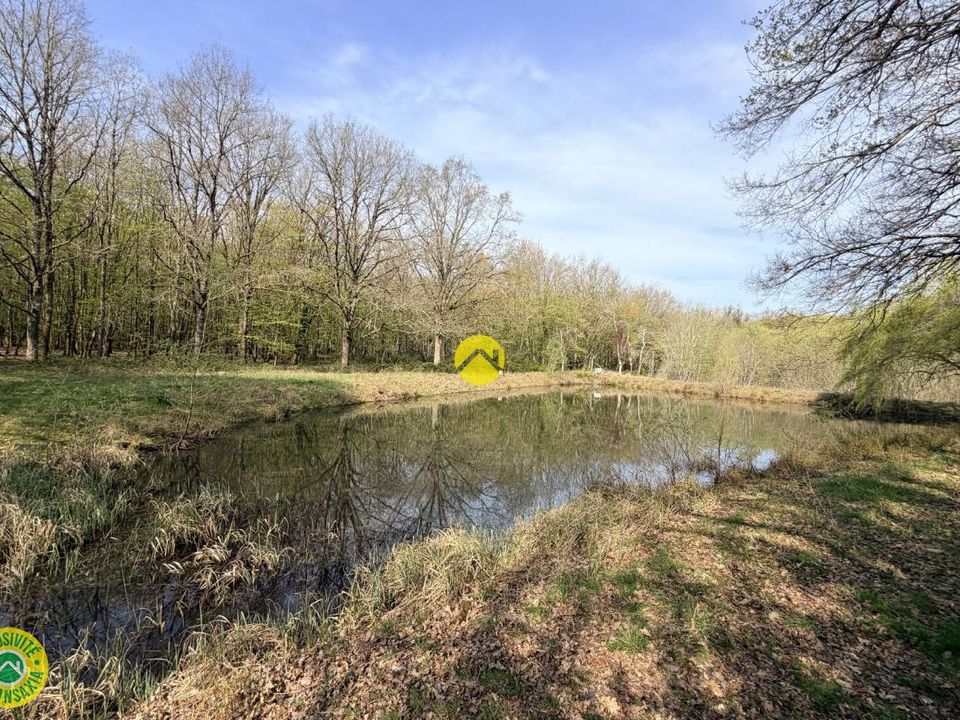 Helårsgrund i Mareuil-sur-Arnon, Cher - foto 5