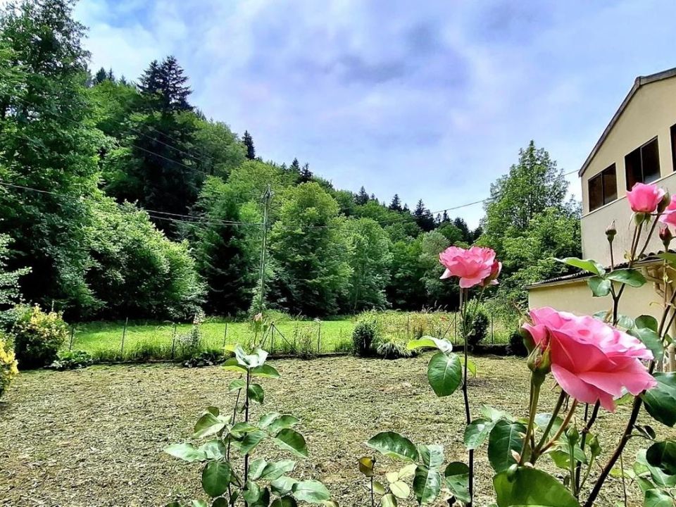 Landsbyhus i Nalzen, Ariege - foto 1
