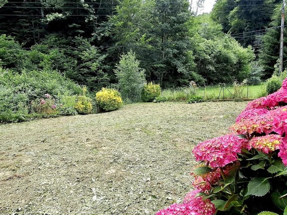Landsbyhus i Nalzen, Ariege - foto 2