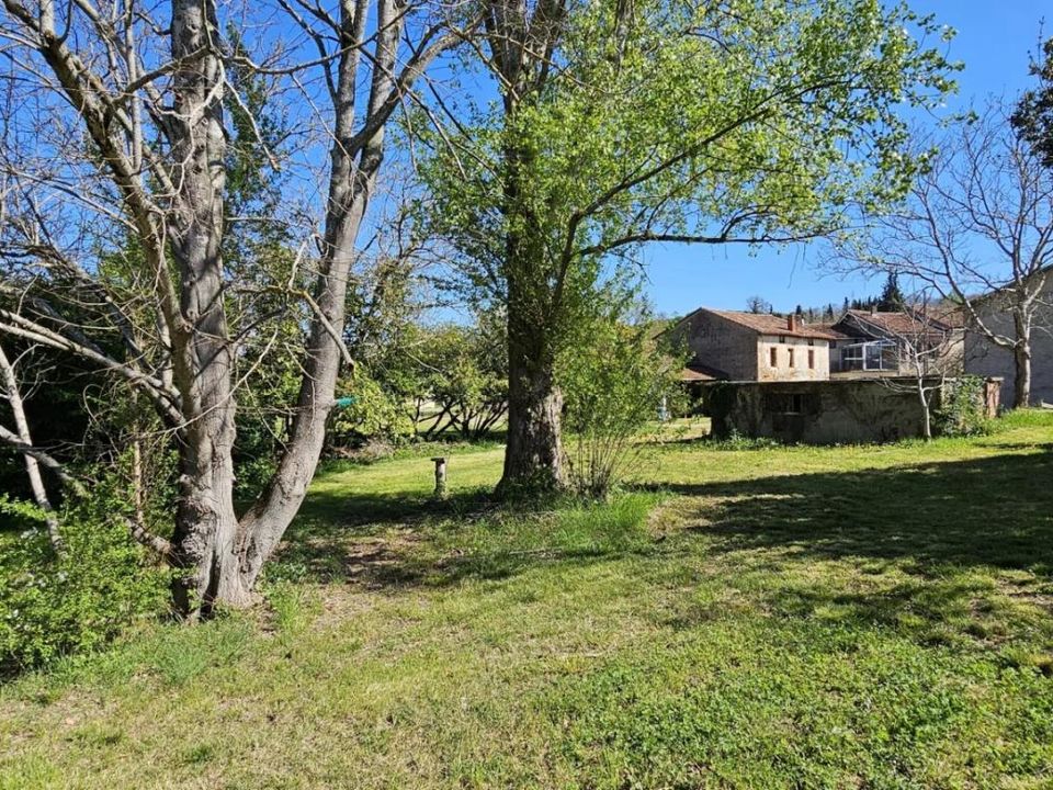 Farm i Sainte-Suzanne, Ariege - foto 3