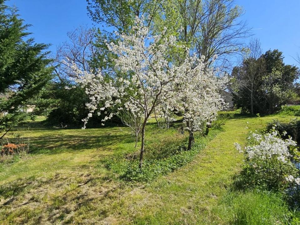 Farm i Sainte-Suzanne, Ariege - foto 4