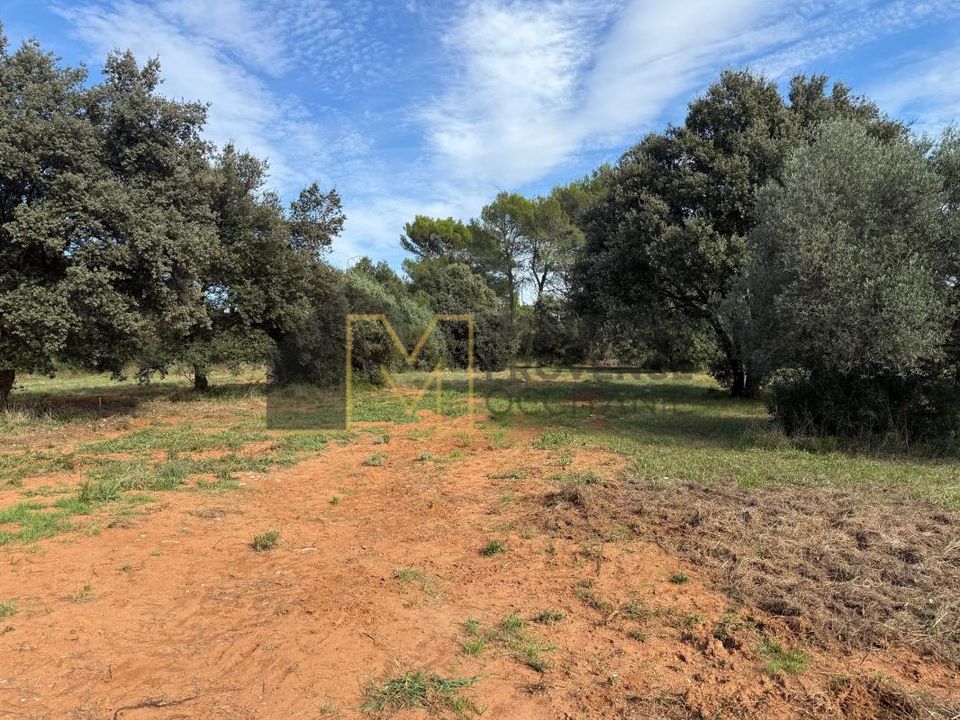 Villa i Saint-Siffret, Gard - foto 5