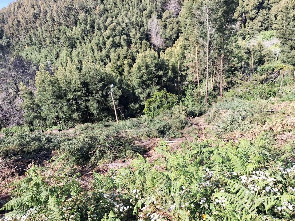 Helårsgrund i Santa Cruz, Madeira - foto 4