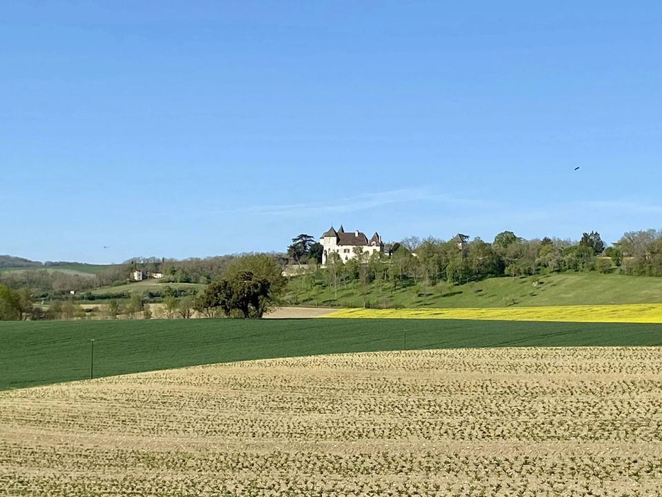 Villa a Monflanquin, Lot-et-Garonne - foto 5