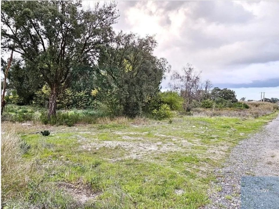 Tomt i Montijo, Setubal - bilde 2