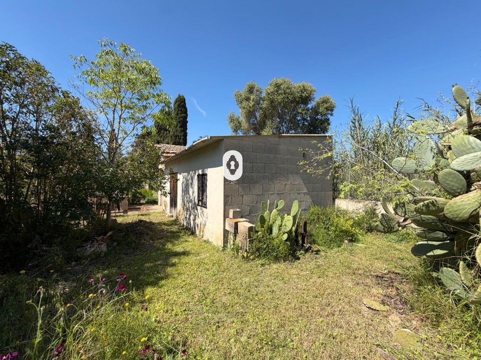 Landejendom i Binissalem, Mallorca - foto 1
