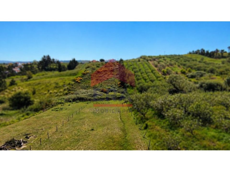 Helårsgrund i Obidos, Leiria - foto 1