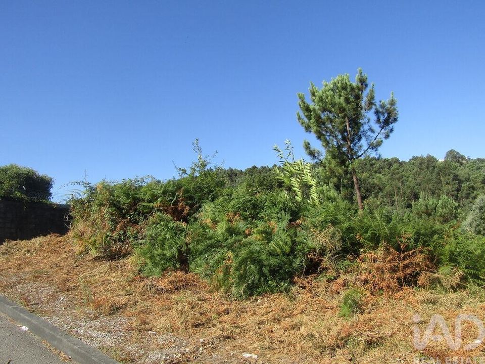 Helårsgrund i Vila Nova de Gaia, Porto - foto 2