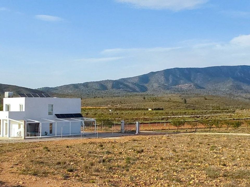 Villa i Pinoso, Alicante - foto 1