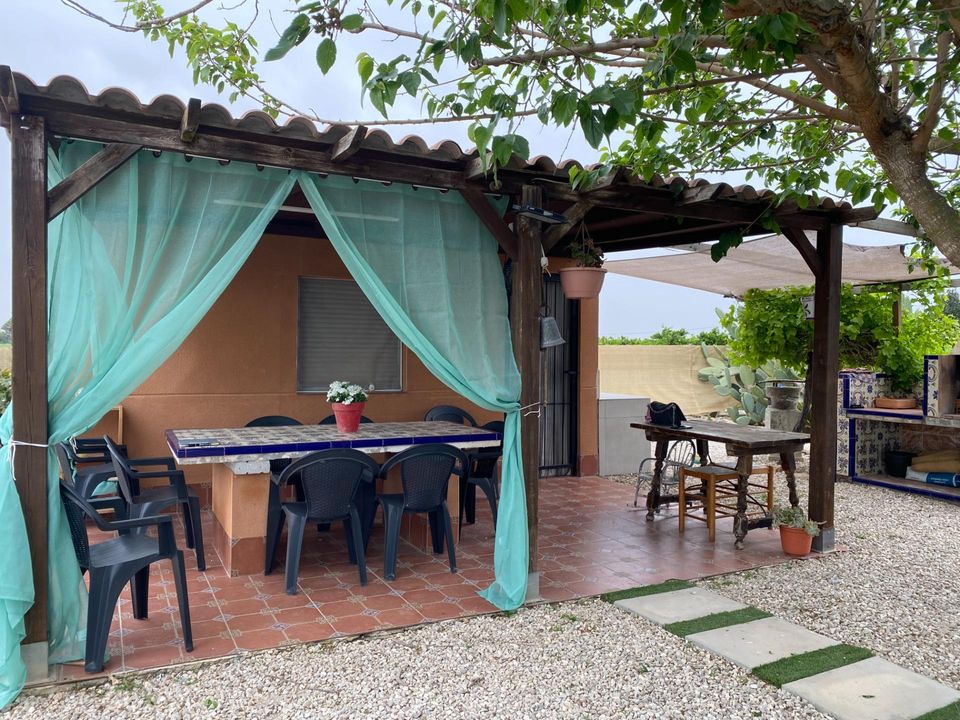 Helårsgrund i Rojales, Alicante - foto 3