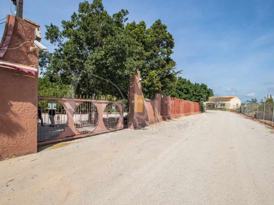 Granja a Los Montesinos, Alicante - foto 1