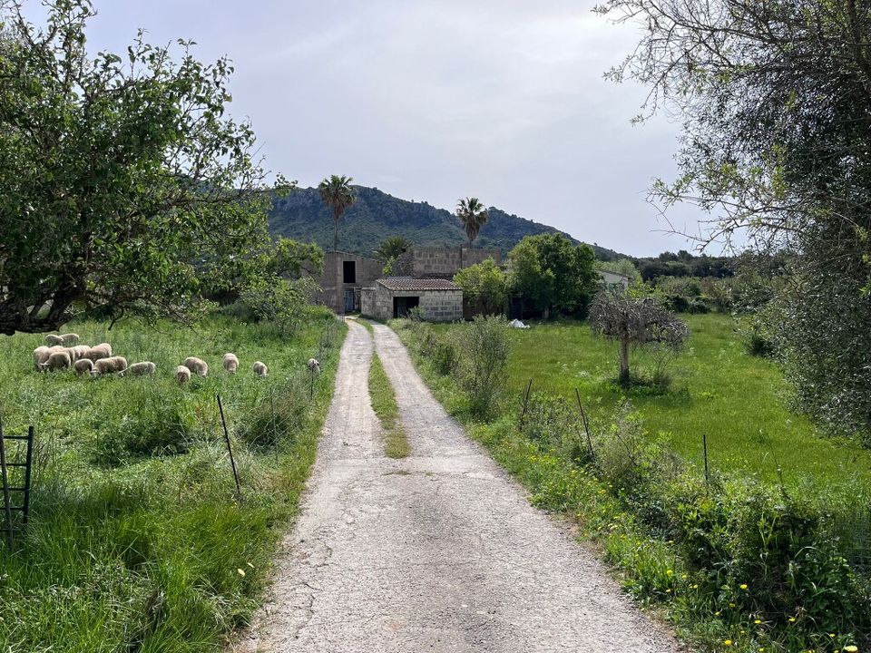 Landejendom i Arta, Mallorca - foto 3