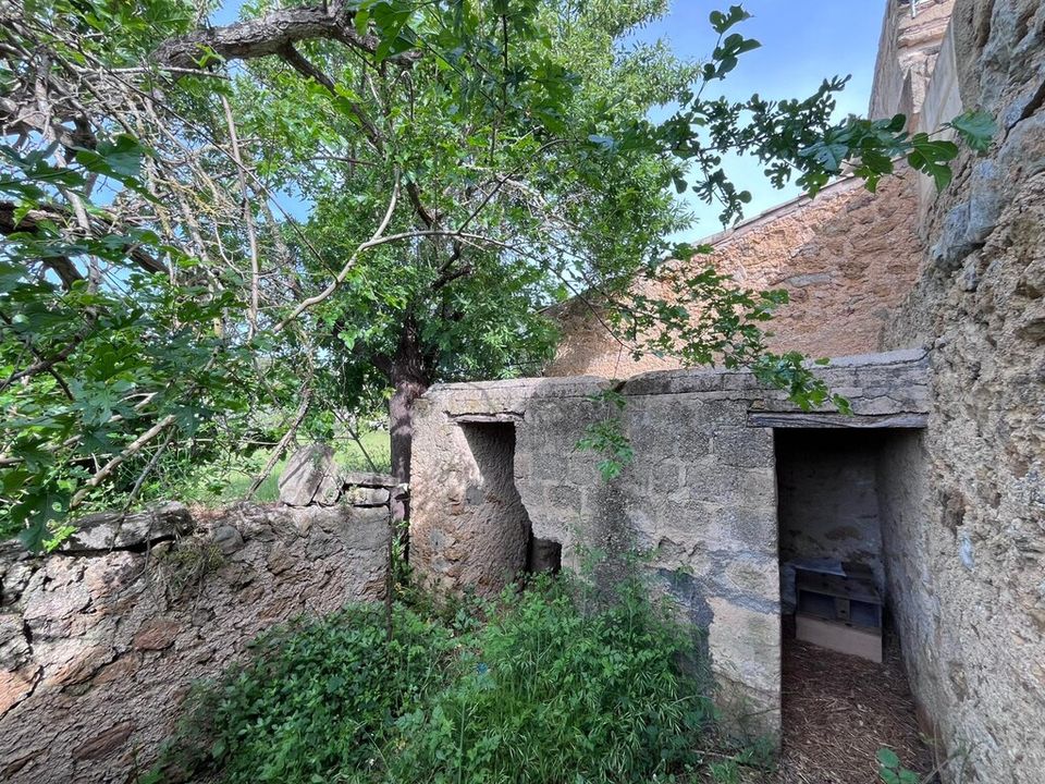 Landejendom i Arta, Mallorca - foto 4
