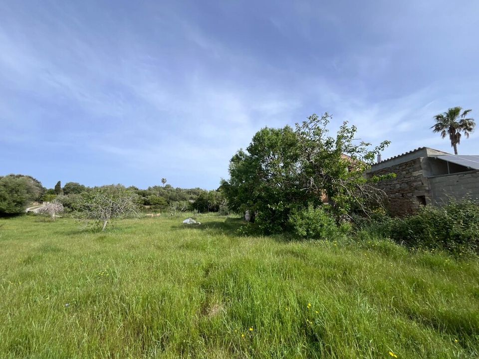 Landejendom i Arta, Mallorca - foto 1