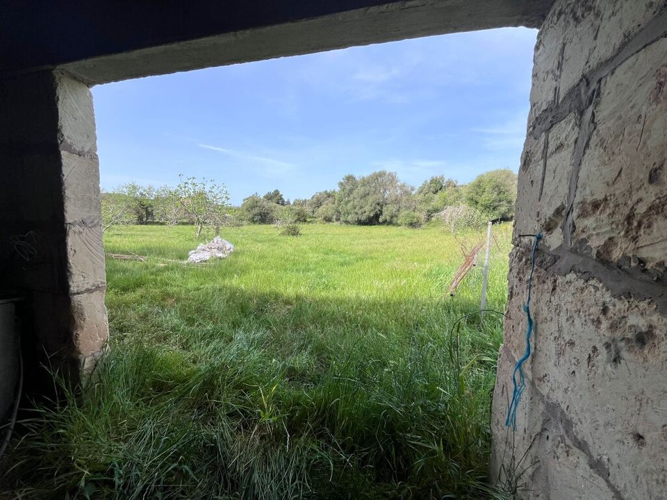 Landejendom i Arta, Mallorca - foto 2