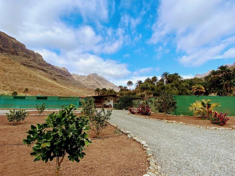 Terra a San Bartolome De Tirajana, Gran Canaria - foto 4