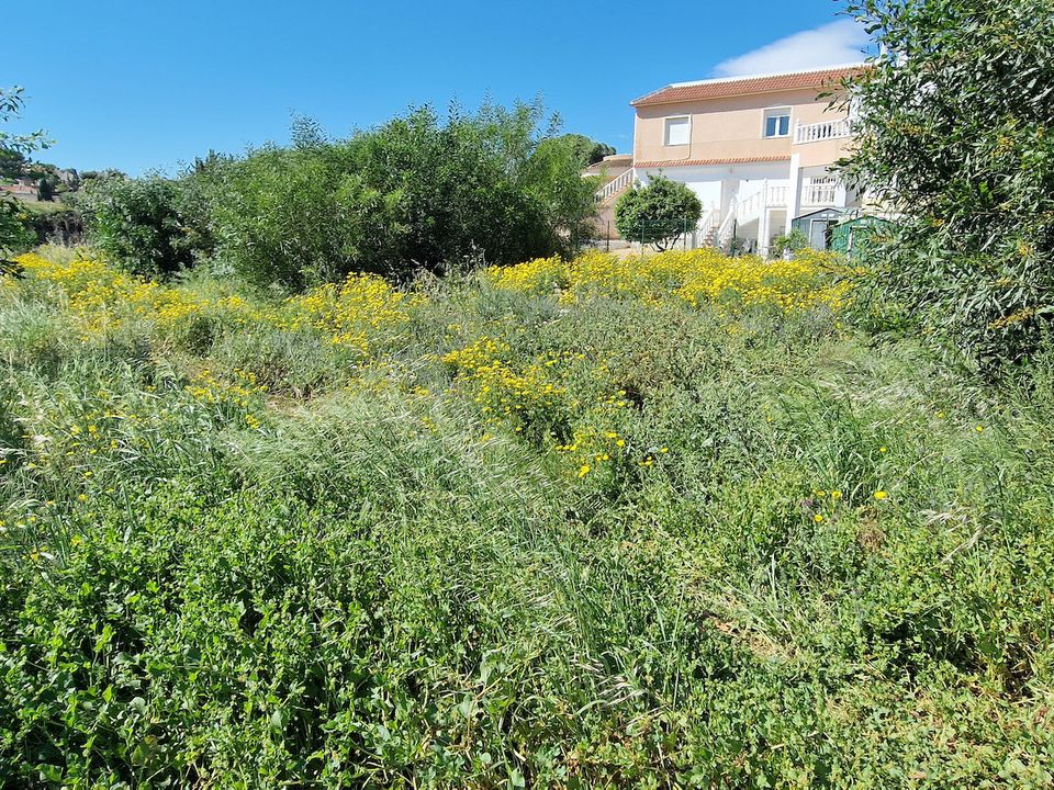 Helårsgrund i Torrevieja, Alicante - foto 1
