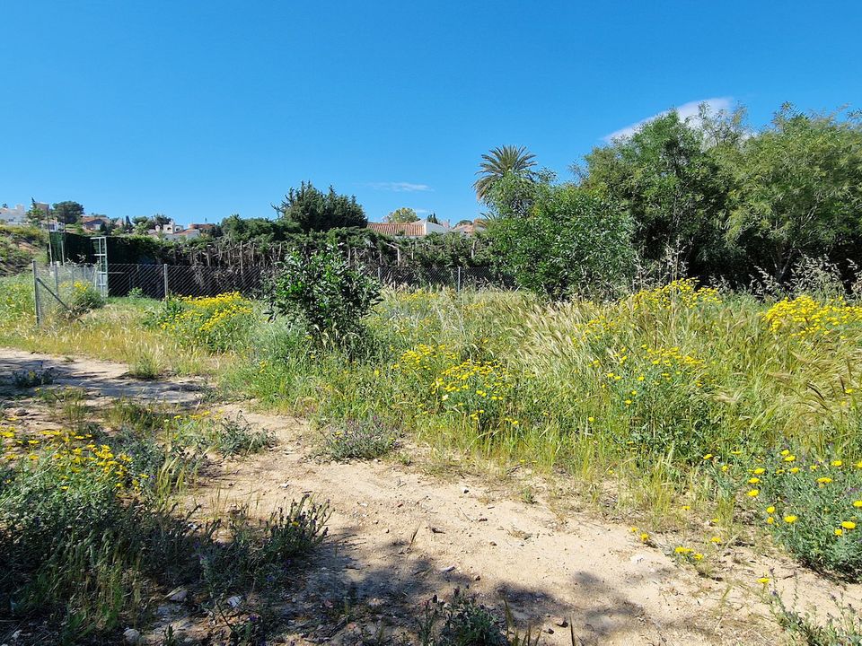 Helårsgrund i Torrevieja, Alicante - foto 2