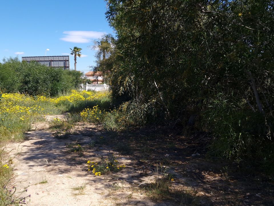Helårsgrund i Torrevieja, Alicante - foto 3