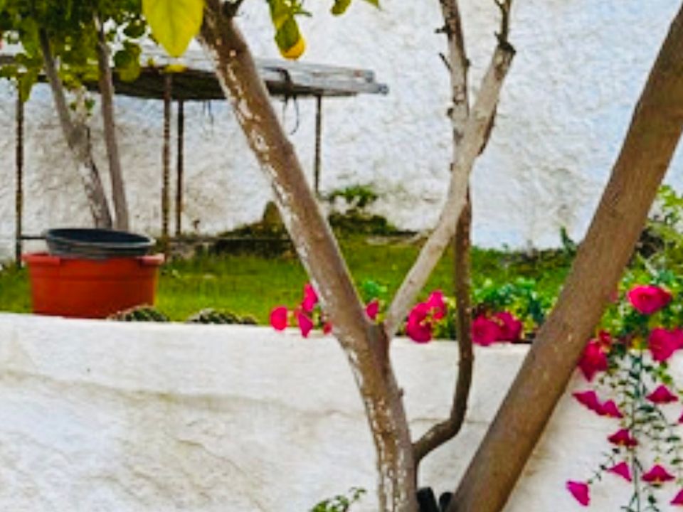 Casa de pueblo en Archidona, Malaga - foto 4