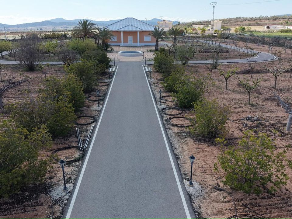 Villa i Pinoso, Alicante - foto 2