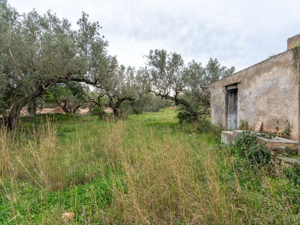 Finca i Roquetes, Tarragona - foto 4