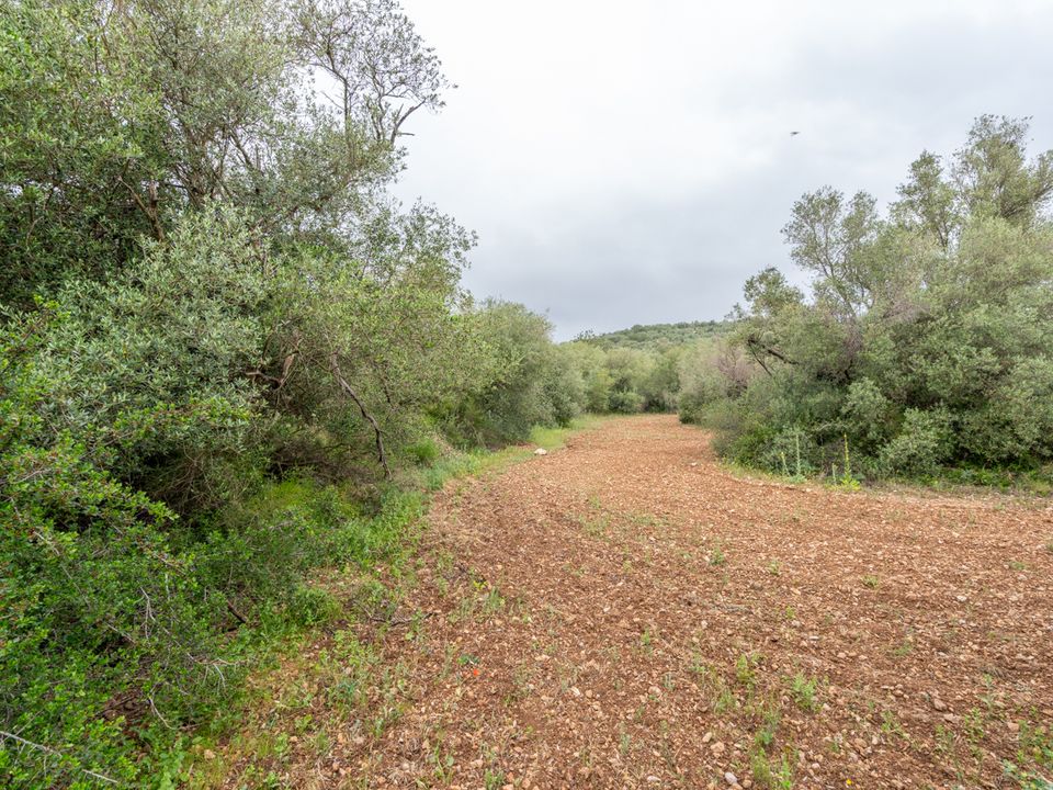 Finca en Mas De Barberans, Tarragona - foto 5