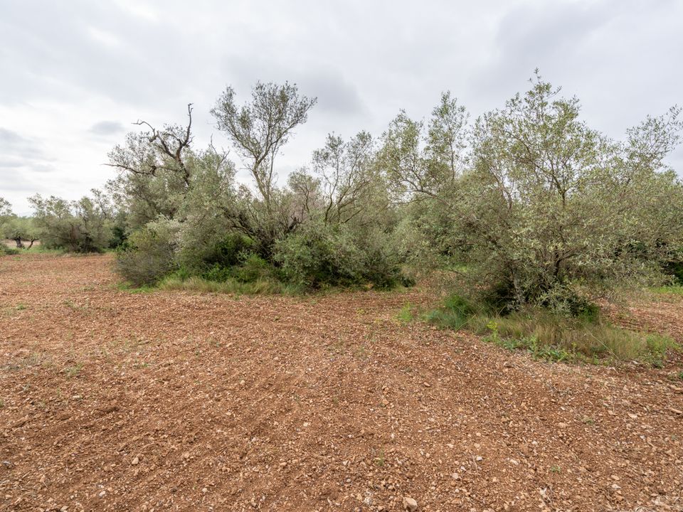 Finca en Mas De Barberans, Tarragona - foto 3