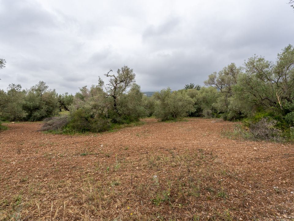 Finca en Mas De Barberans, Tarragona - foto 2