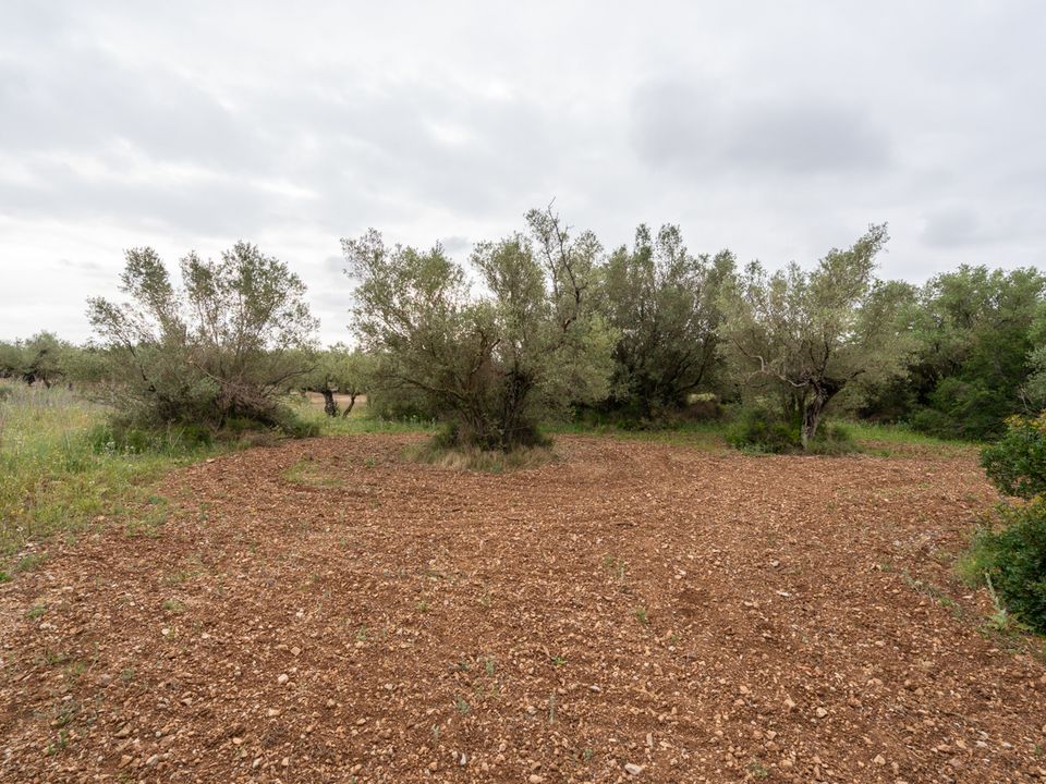 Finca en Mas De Barberans, Tarragona - foto 4