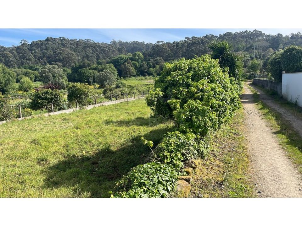 Helårsgrund i Esposende, Braga - foto 3