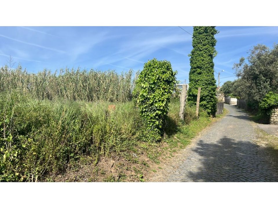 Helårsgrund i Esposende, Braga - foto 4