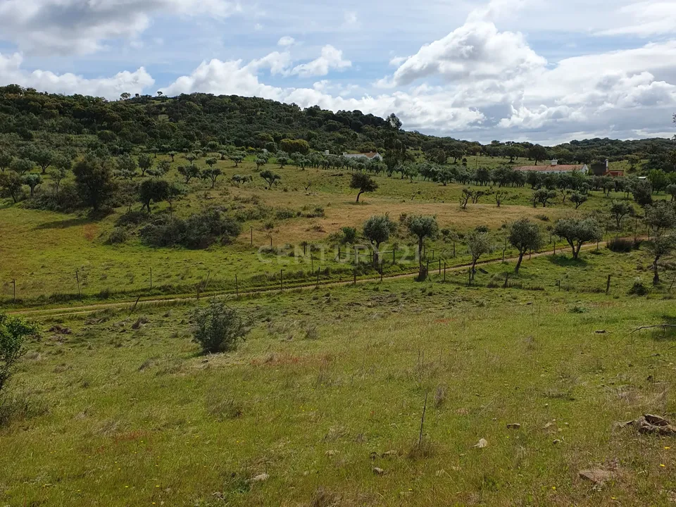Helårsgrund i Redondo, Evora - foto 2
