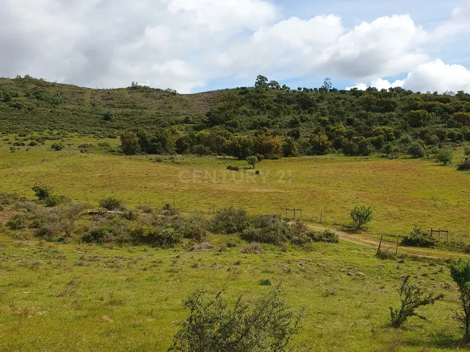 Helårsgrund i Redondo, Evora - foto 3