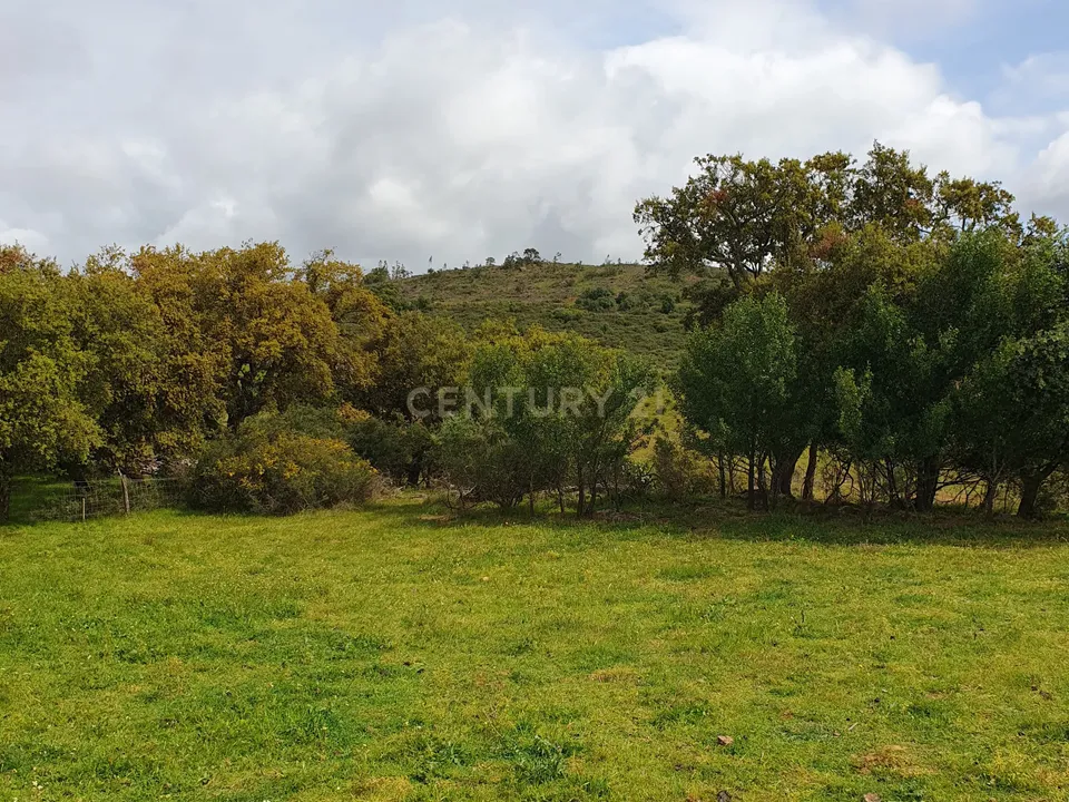Helårsgrund i Redondo, Evora - foto 4