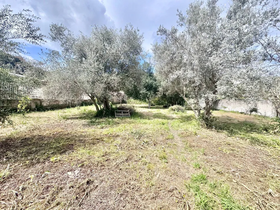 Helårsgrund i Palermo, Palermo - foto 1