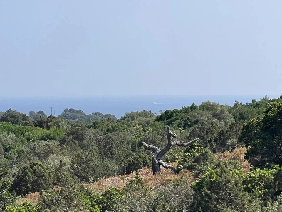 Villa i Porto-Vecchio, Corse-du-Sud - foto 4