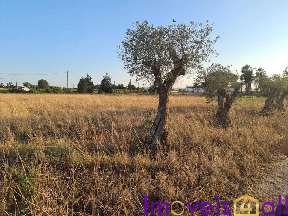 Helårsgrund i Palmela, Setubal - foto 1