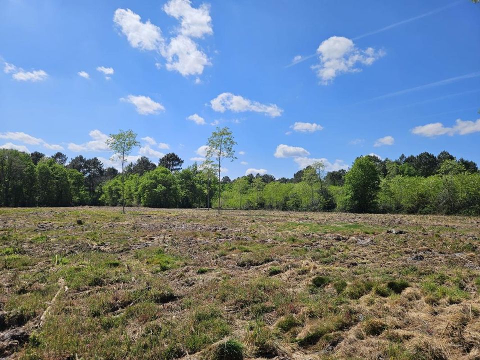 Villa i Le Tuzan, Gironde - foto 5