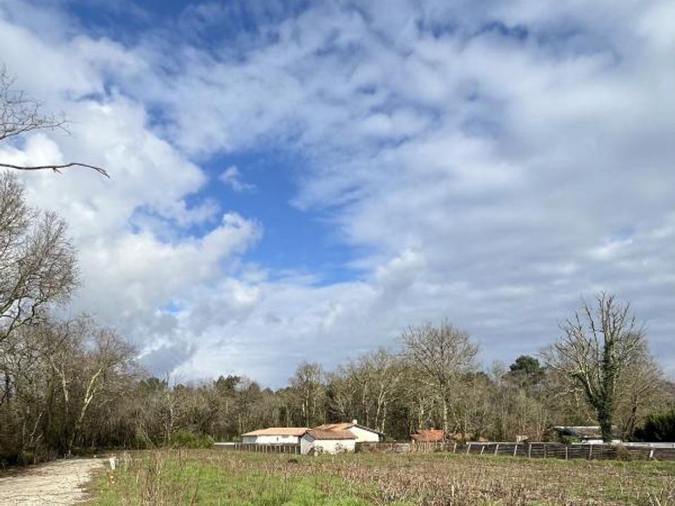Helårsgrund i Saint-Selve, Gironde - foto 1