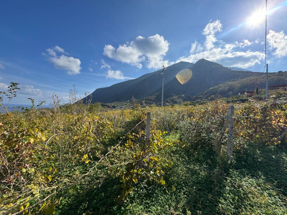 Helårsgrund i Malfa, Messina - foto 3