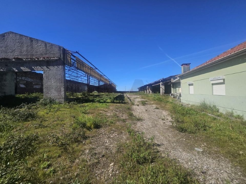 Haus in Aveiro, Aveiro - Foto 4