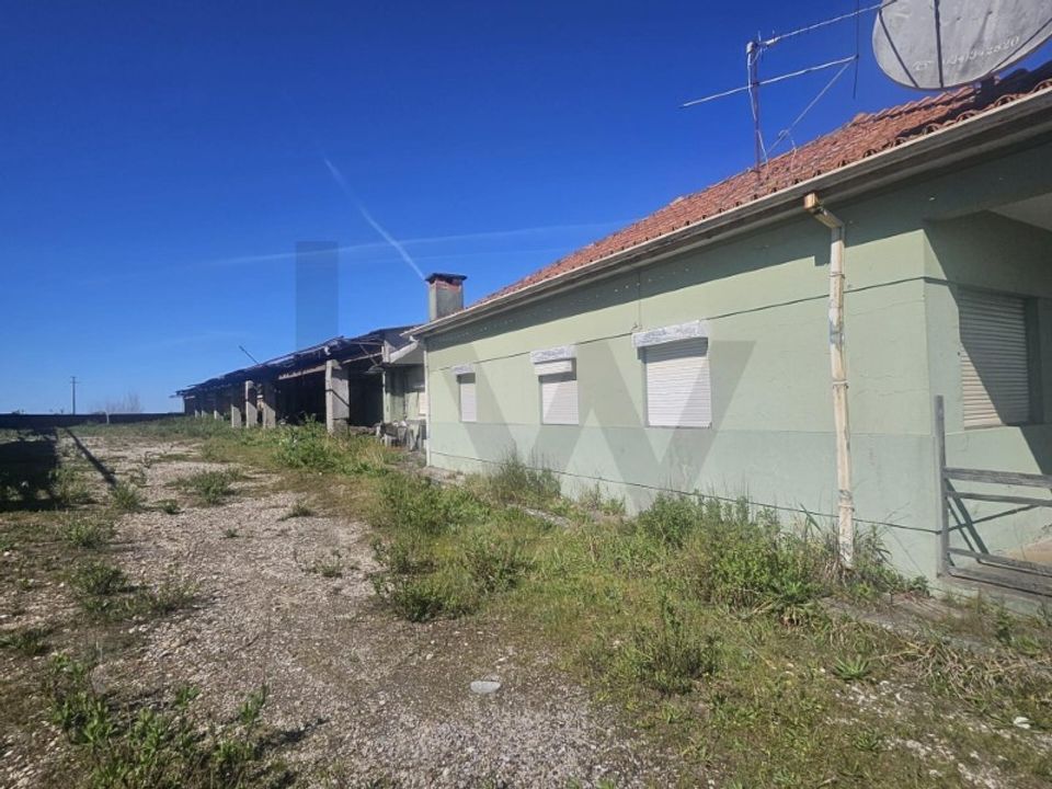 Haus in Aveiro, Aveiro - Foto 5