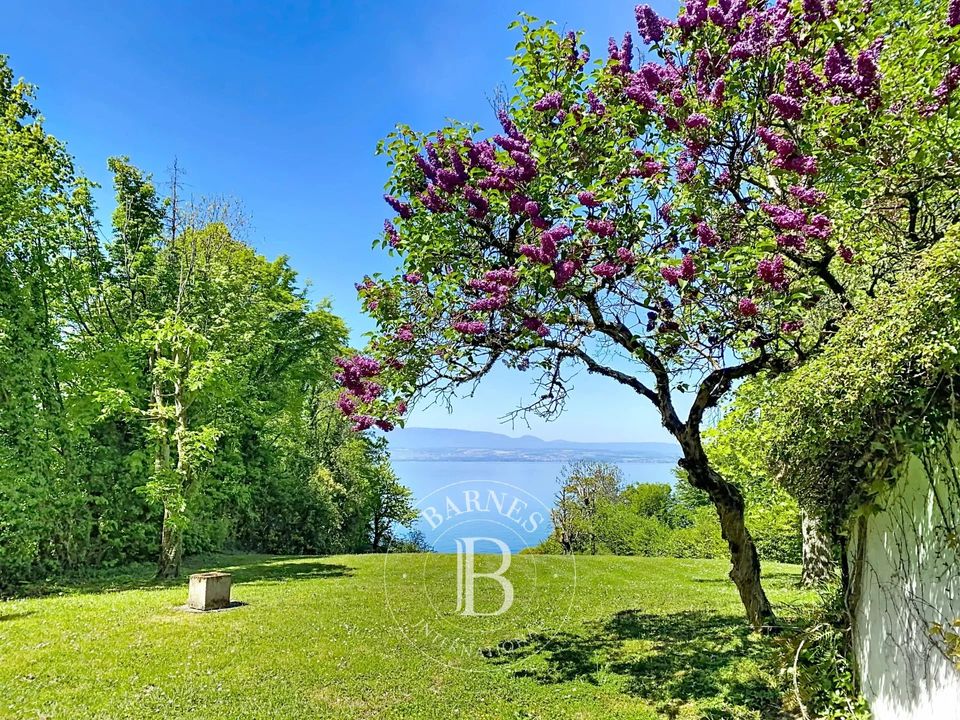 Villa i Thonon-les-Bains, Haute-Savoie - foto 5
