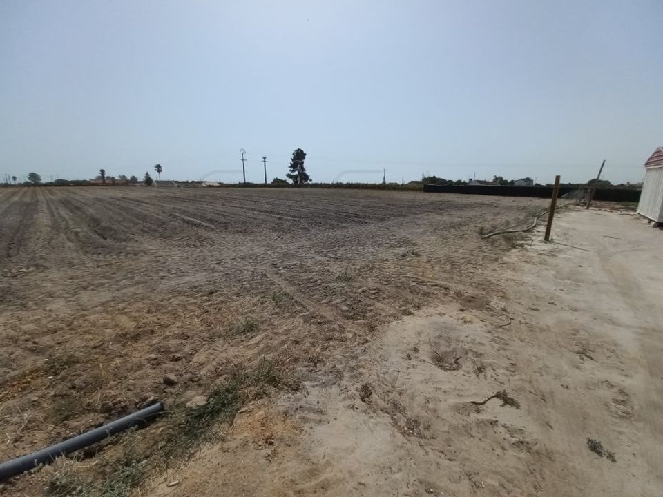 Land in Palmela, Setubal - photo 2